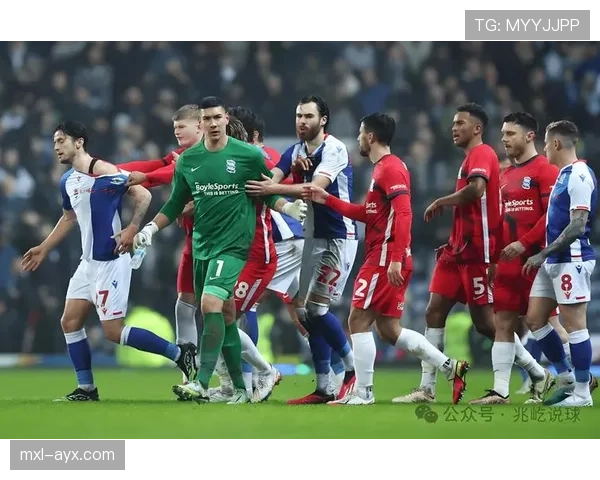 布莱顿青训实力持续提升，年轻球员表现稳健备受期待